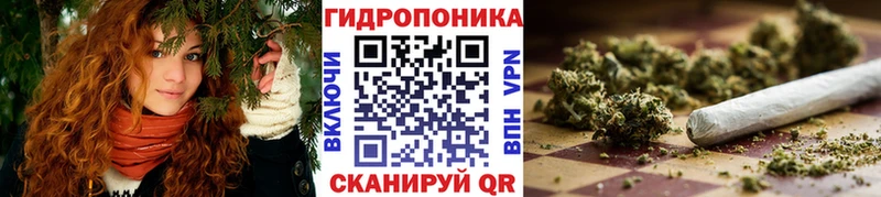Шишки марихуана AK-47  даркнет какой сайт  Медвежьегорск 